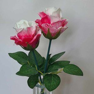 OOAK Pink White Varigated Rose Blossom Flower Cylinder Vase